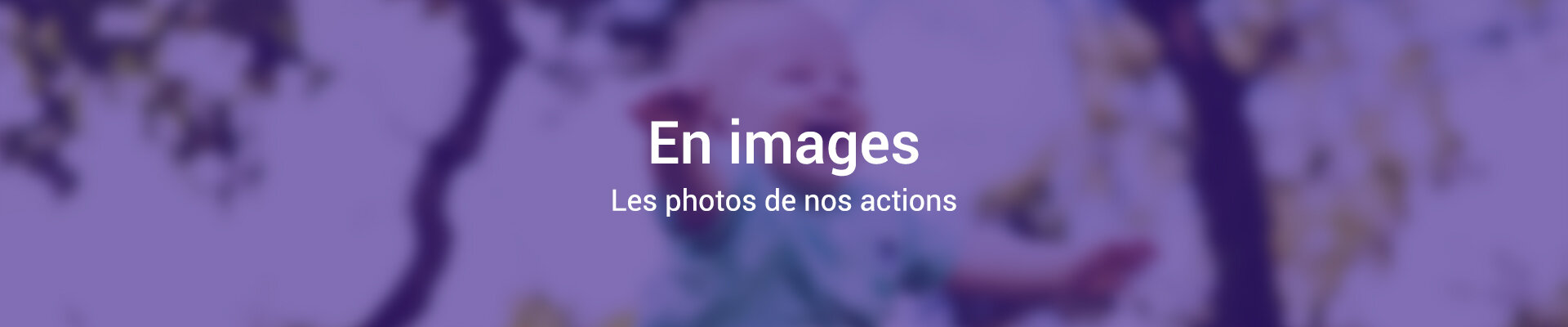 Galerie Photo