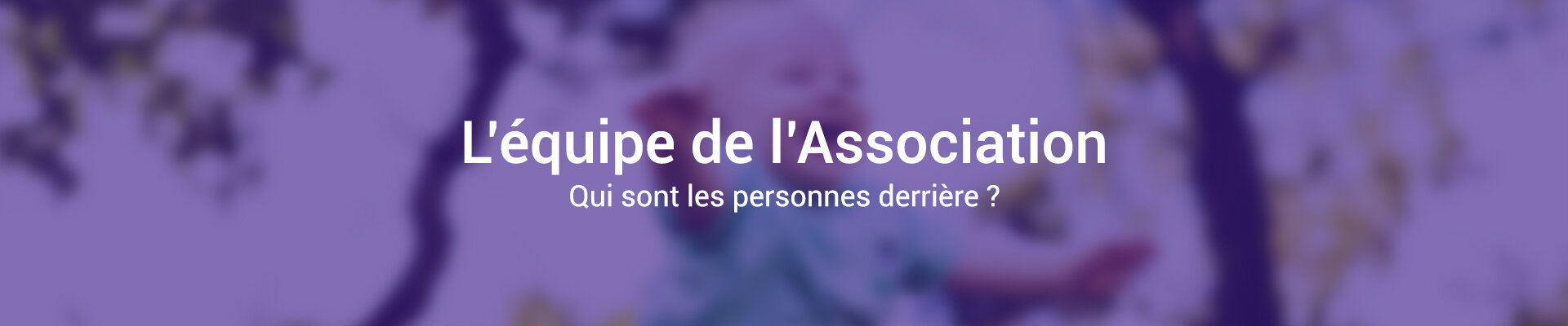 Conseil d'Administration
