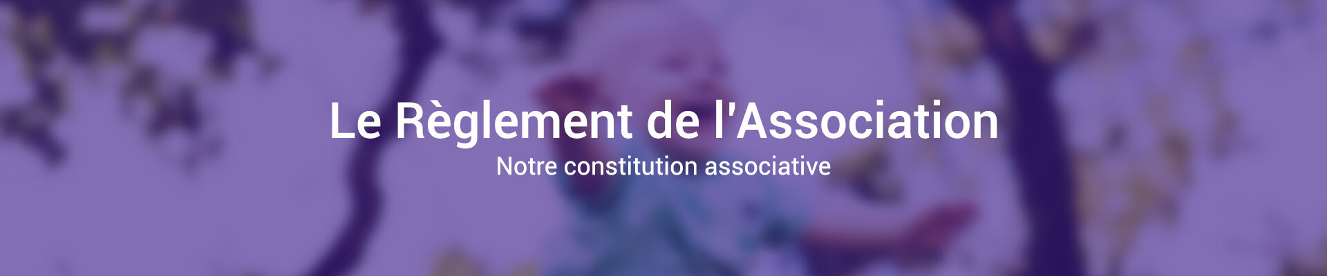 Règlement Intérieur